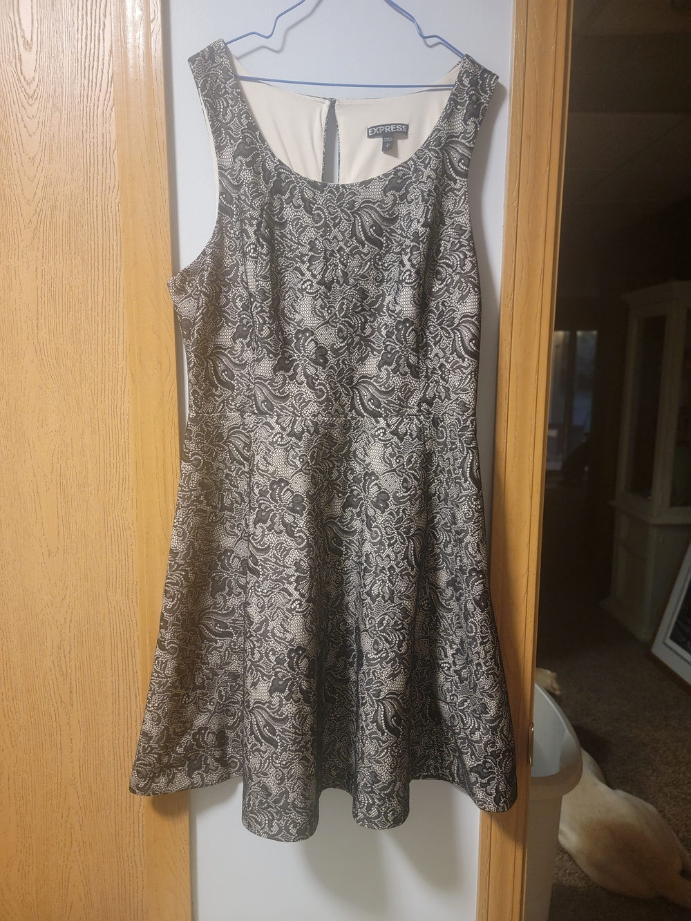Express Black and Cream Sleeveless A-Line Dress